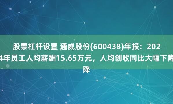 股票杠杆设置 通威股份(600438)年报：2024年员工人均薪酬15.65万元，人均创收同比大幅下降