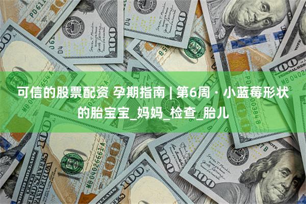 可信的股票配资 孕期指南 | 第6周 · 小蓝莓形状的胎宝宝_妈妈_检查_胎儿