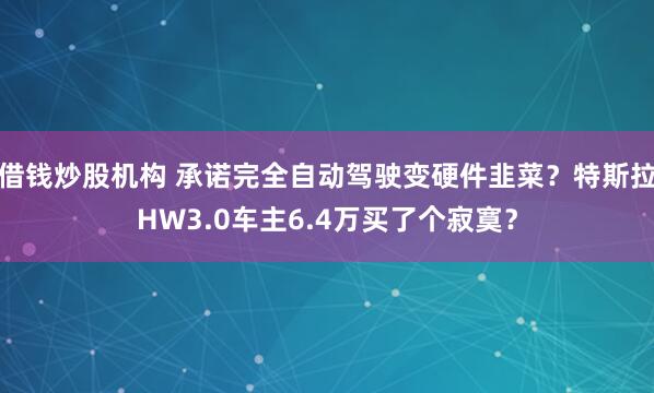 借钱炒股机构 承诺完全自动驾驶变硬件韭菜？特斯拉HW3.0车主6.4万买了个寂寞？