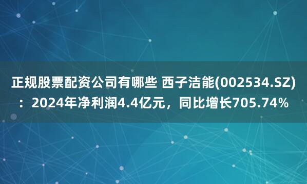 正规股票配资公司有哪些 西子洁能(002534.SZ)：2024年净利润4.4亿元，同比增长705.74%