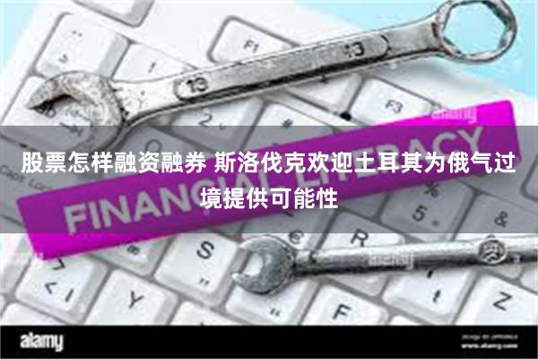 股票怎样融资融券 斯洛伐克欢迎土耳其为俄气过境提供可能性
