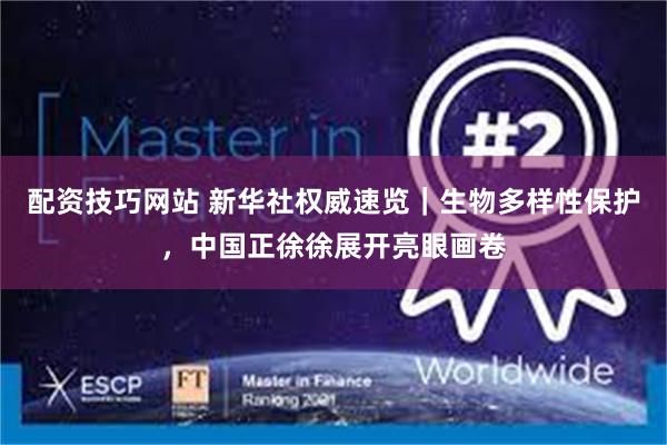 配资技巧网站 新华社权威速览|生物多样性保护,中国正徐徐展开亮眼画卷