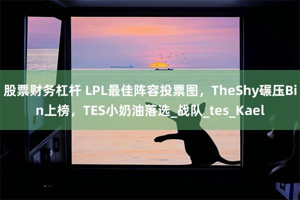 股票财务杠杆 LPL最佳阵容投票图，TheShy碾压Bin上榜，TES小奶油落选_战队_tes_Kael