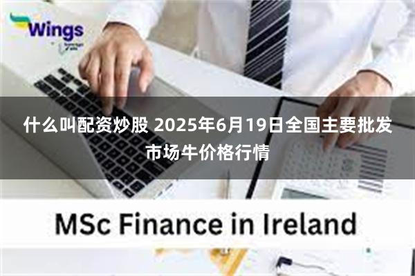 什么叫配资炒股 2025年6月19日全国主要批发市场牛价格行情