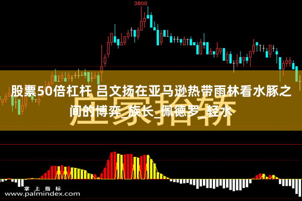 股票50倍杠杆 吕文扬在亚马逊热带雨林看水豚之间的博弈_族长_佩德罗_轻水
