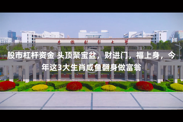 股市杠杆资金 头顶聚宝盆，财进门，福上身，今年这3大生肖咸鱼翻身做富翁